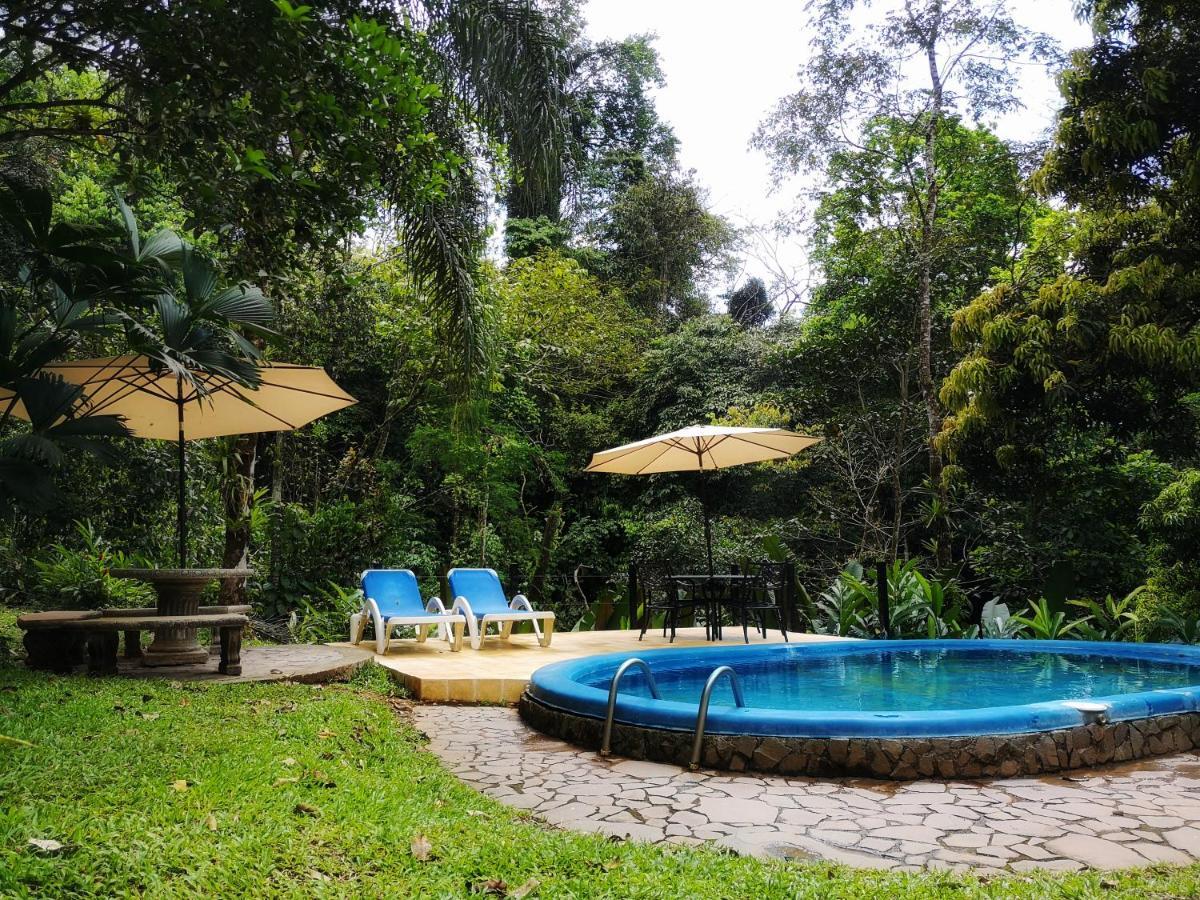 Casa Cedro - Portasol Vacation Rentals Matapalo  Εξωτερικό φωτογραφία